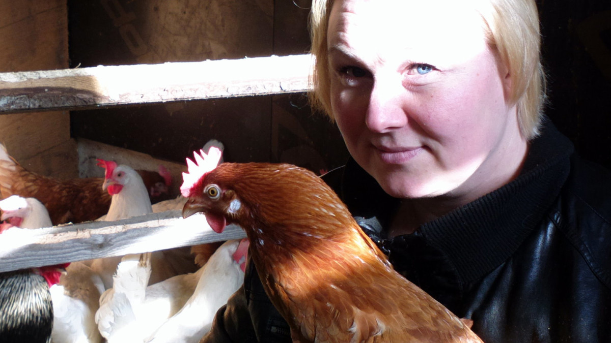 homo porno tähti koe