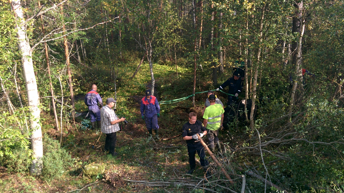 Pelastajat nostamassa lehmää suosta.