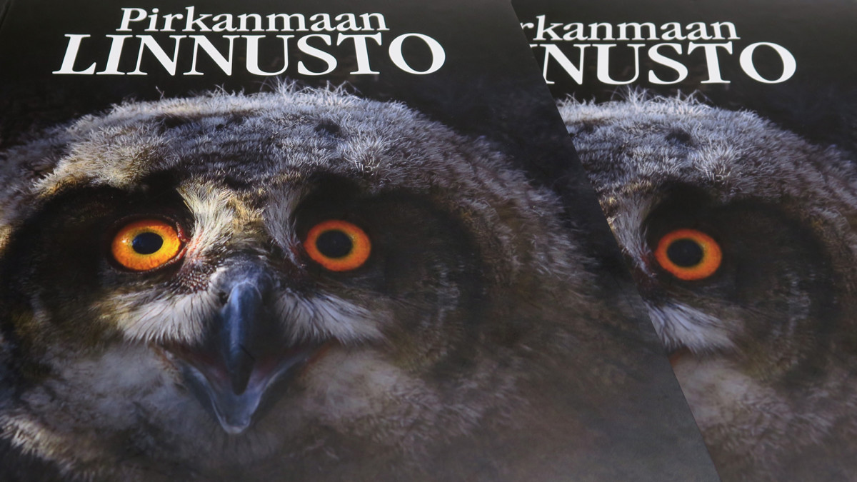 Ystäväni kuuma äiti Seksi Elokuvat