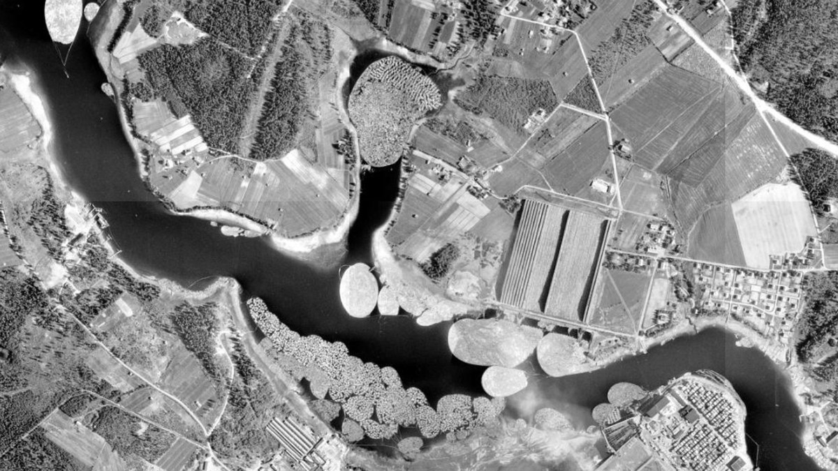 Puita Kajaaninjosessa 1956