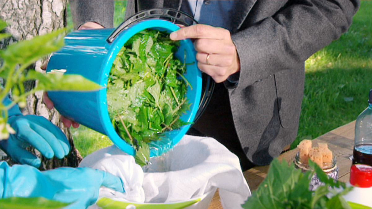 vitun mies porno nainen