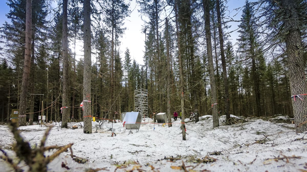 Turvemetsän päästöjen mittaussa.sasema Ränskälänkorpi Asikkala.