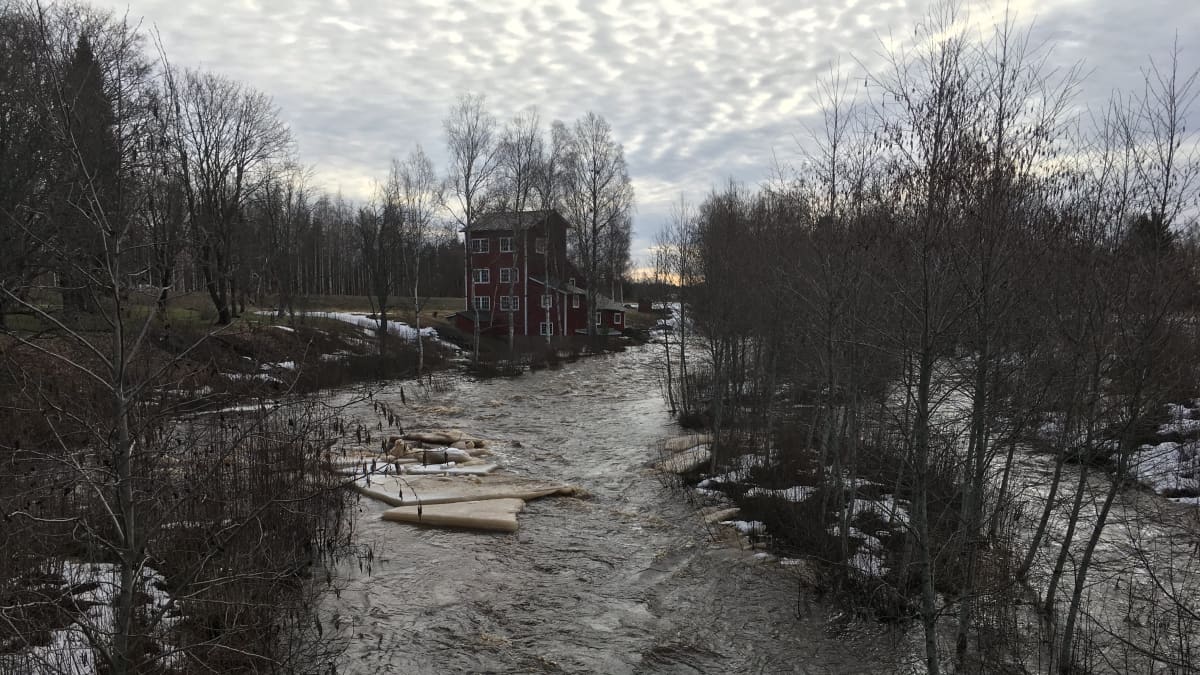maalahdenjoki tulvii