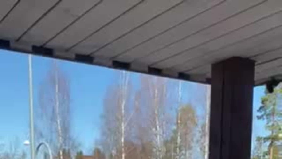 Biisonilauma keskellä keskustaa