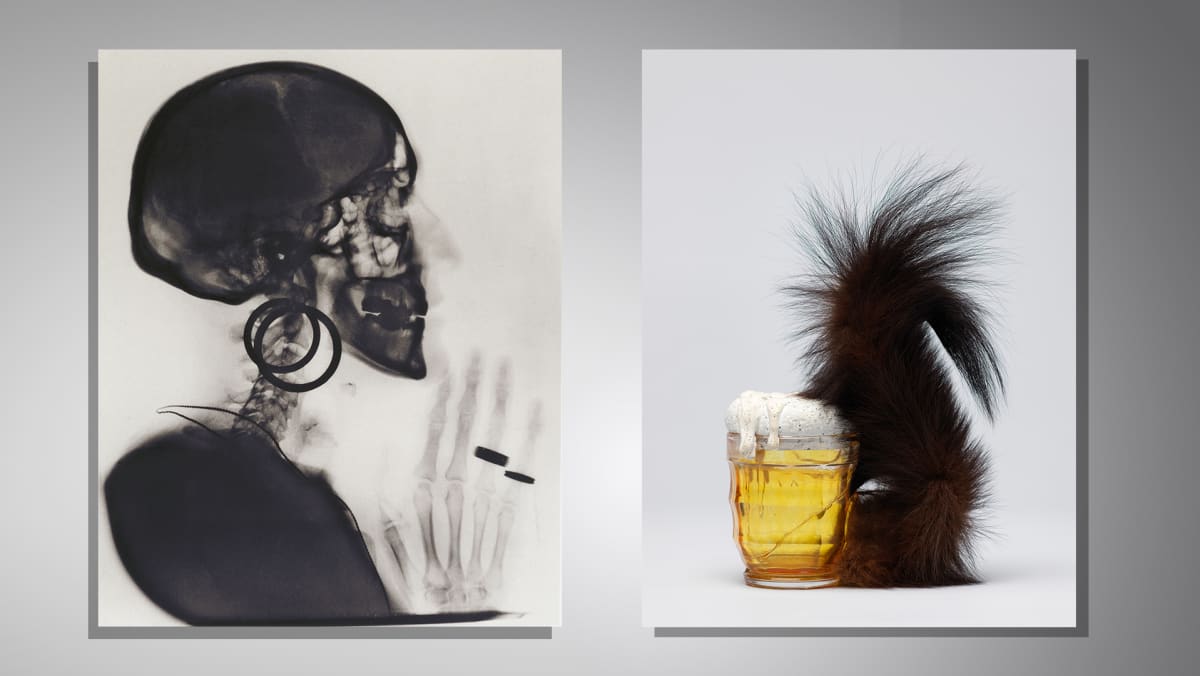 Valokuvateos X-Ray - Röntgenkuva M.O.:n pääkallosta (1964) sekä Orava-teos vuodelta 1969.