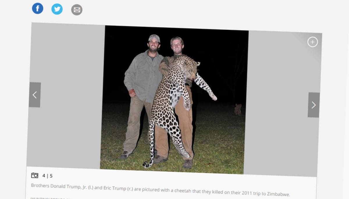Trumpin pojat poseeraavat tappamansa leopardin kanssa Zimbabwessa vuonna 2012.