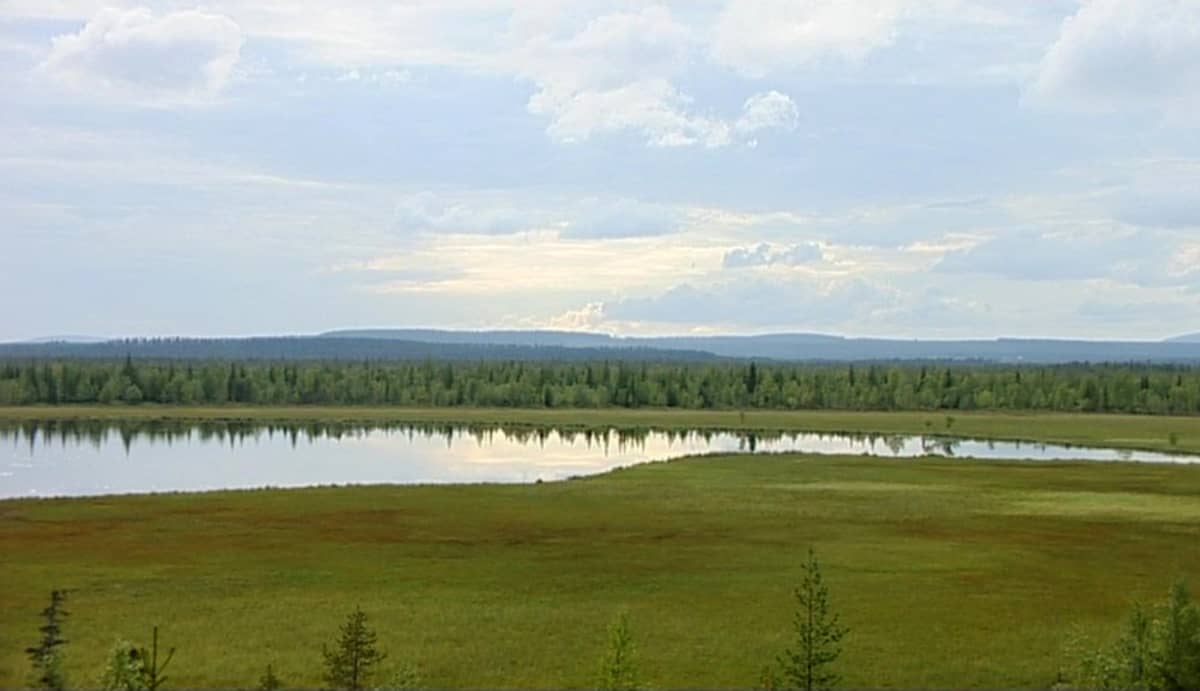 Kokonjärvi