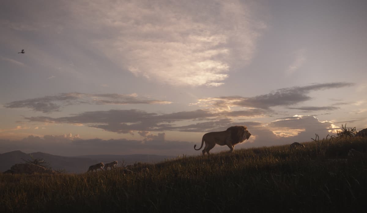 Still-kuva elokuvasta Leijonakuningas.