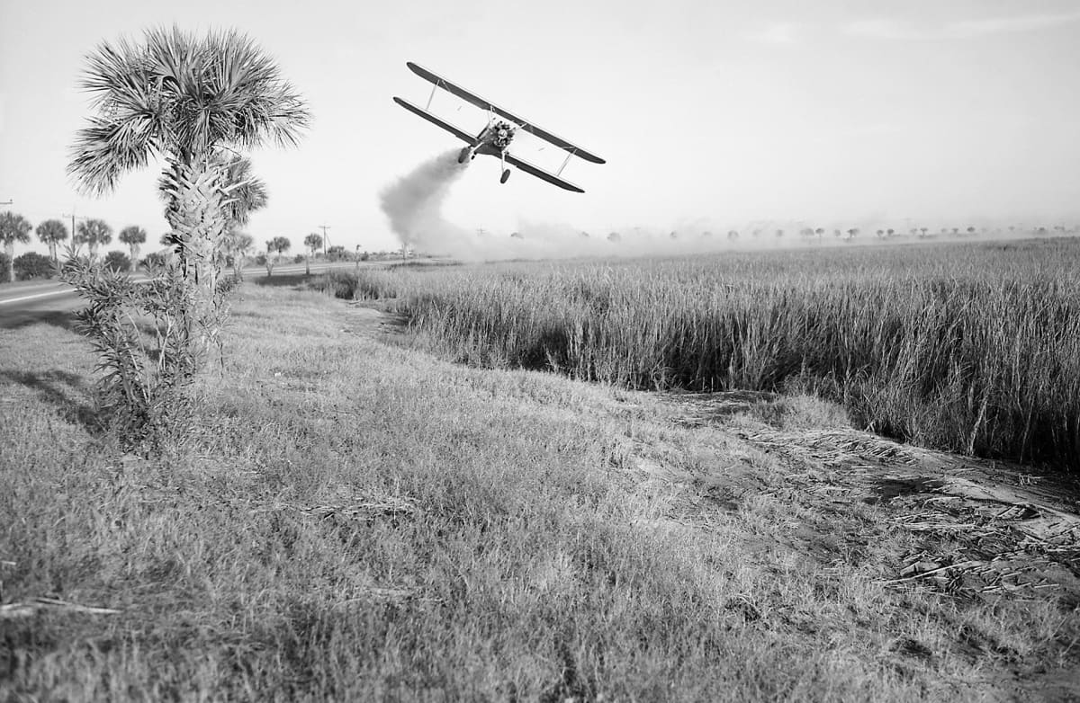 DDT:tä ruiskutetaan lentokoneesta pellolle Yhdysvalloissa.