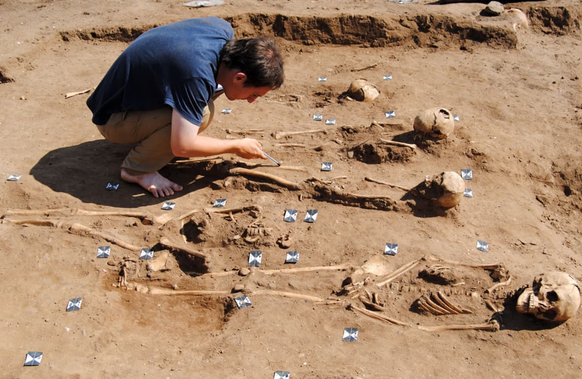 Arkeologi kaivaa varovasti esiin luurankoa, jonka vieressä on useita muitakin samassa rivissä. 