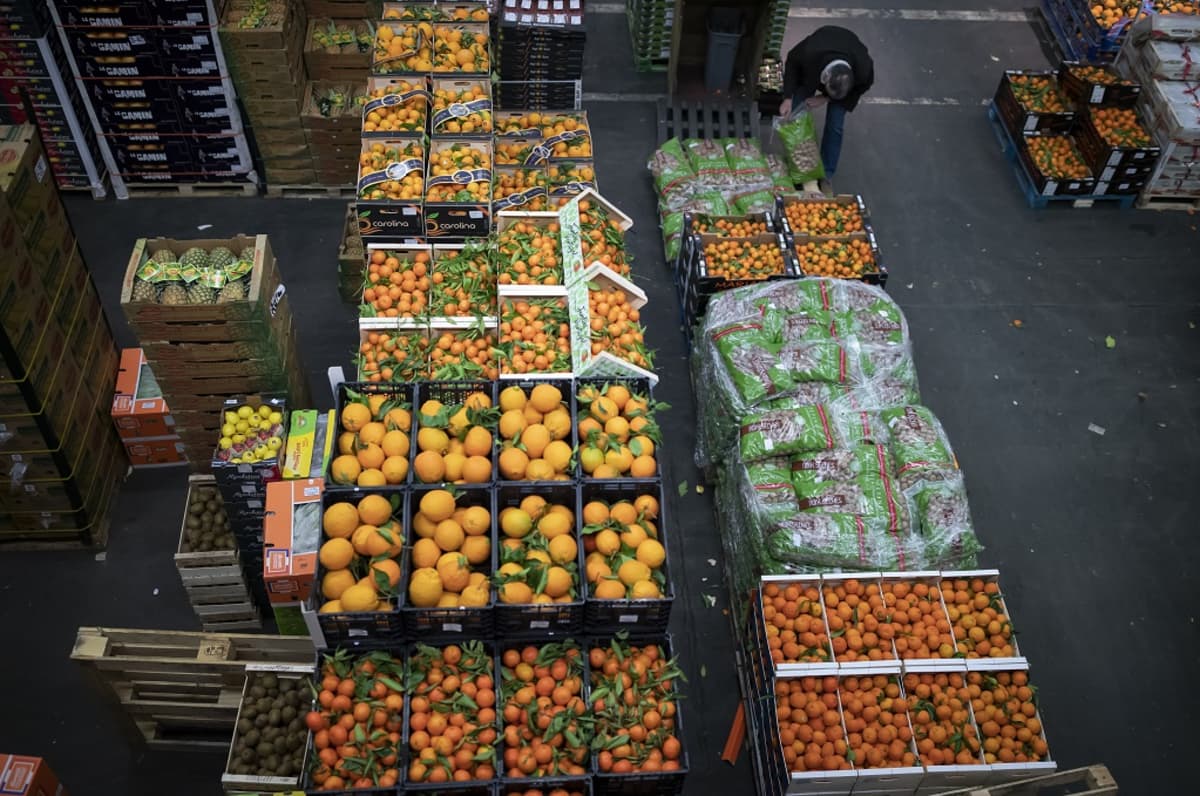 Kuvassa varastohallissa laatikoissa vihanneksia ja hedelmiä, kuten appelsiineja, ananaksia ja tomaatteja. Kuva otettu Pariisissa Ranskassa. 