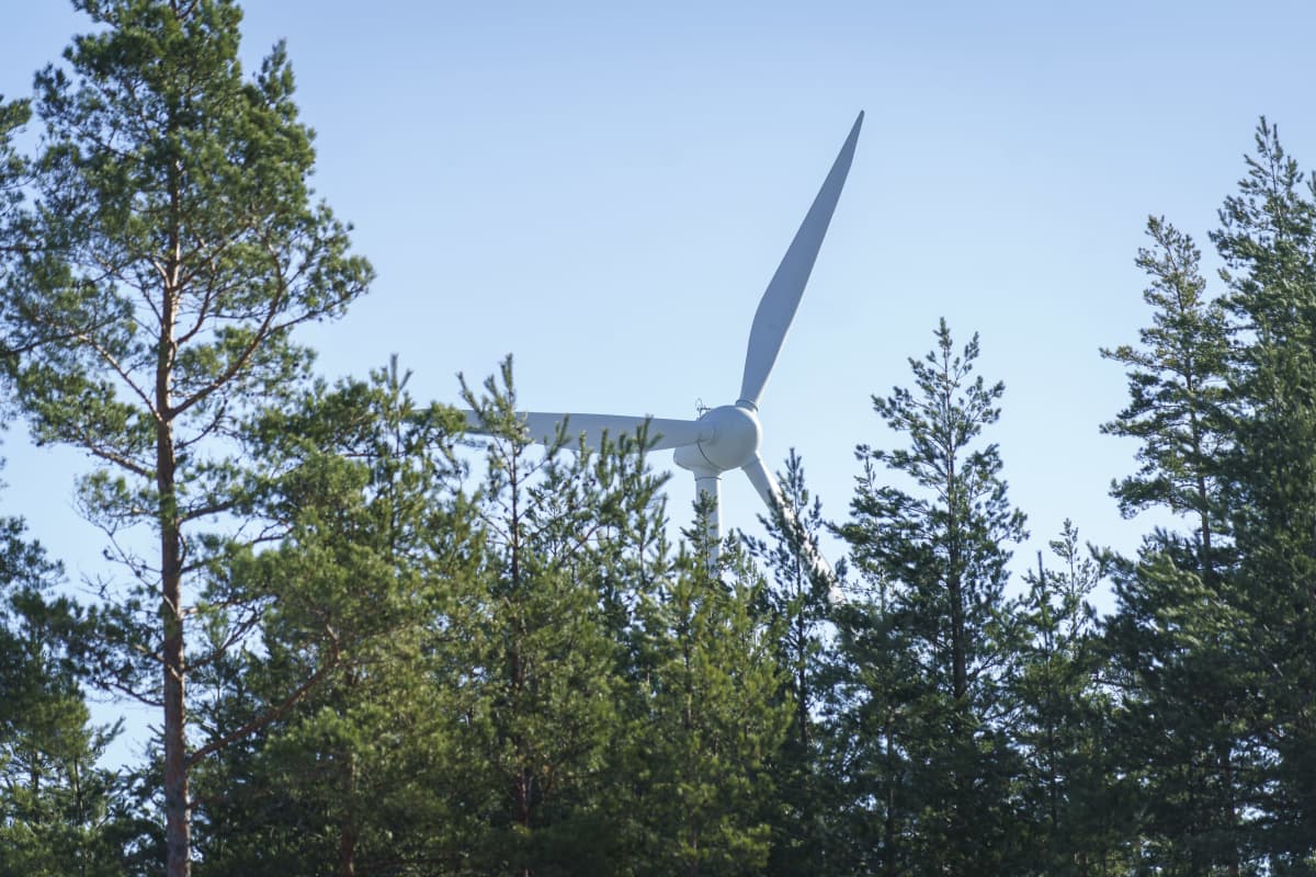 Tuulivoimalan roottori mäntymetsän yläpuolella.