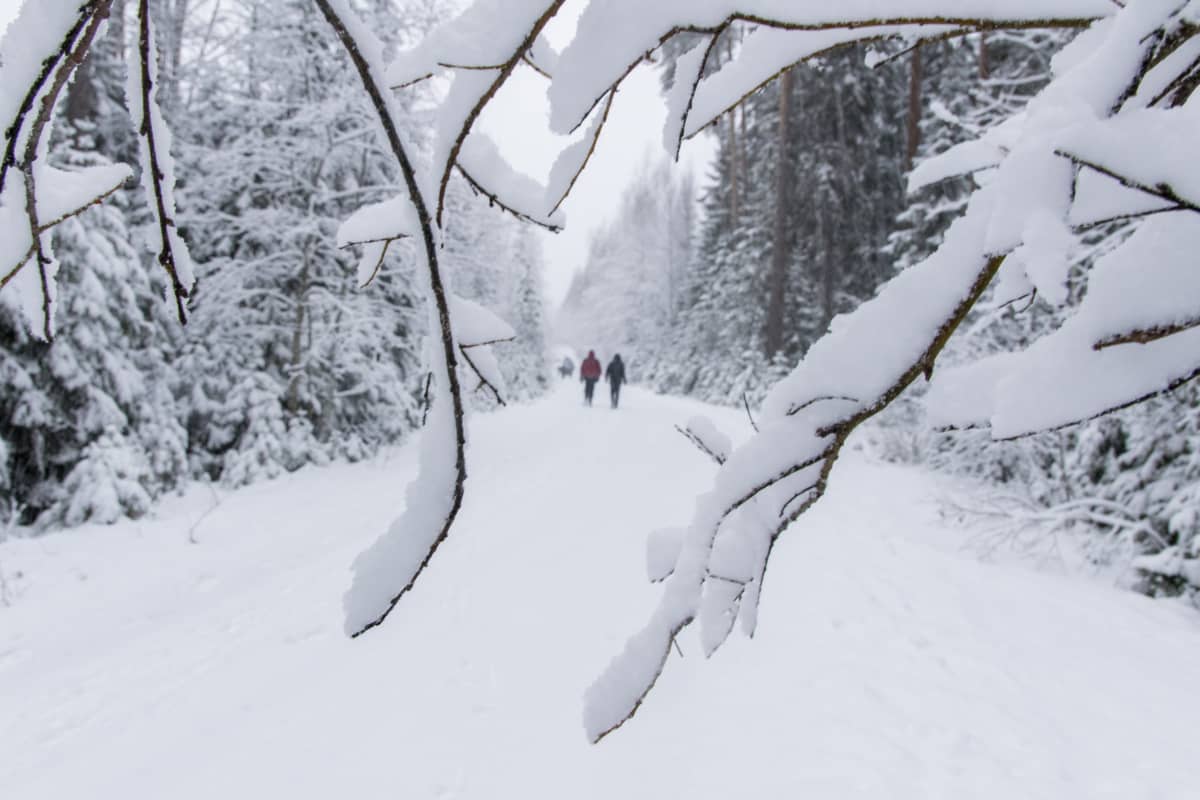 kaksi ihmsitä kävelee kaukana lumisella tiellä