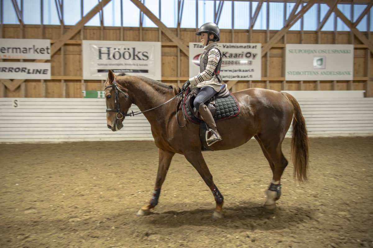 13-vuotias Jone Illi ratsastaa Maisa-hevosella.