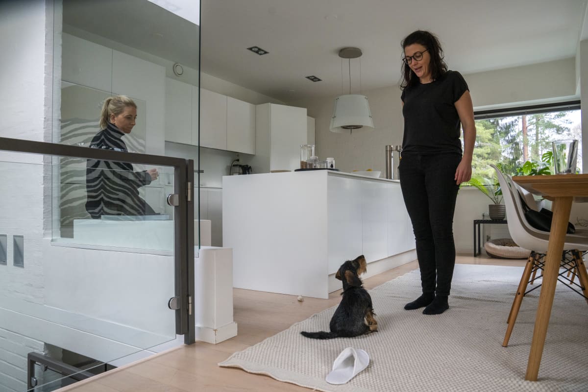 Effy-koiraa koulutetaan kodin keittiössä, omistaja Johanna Railo istuu ja Noora Keskievari seisoo