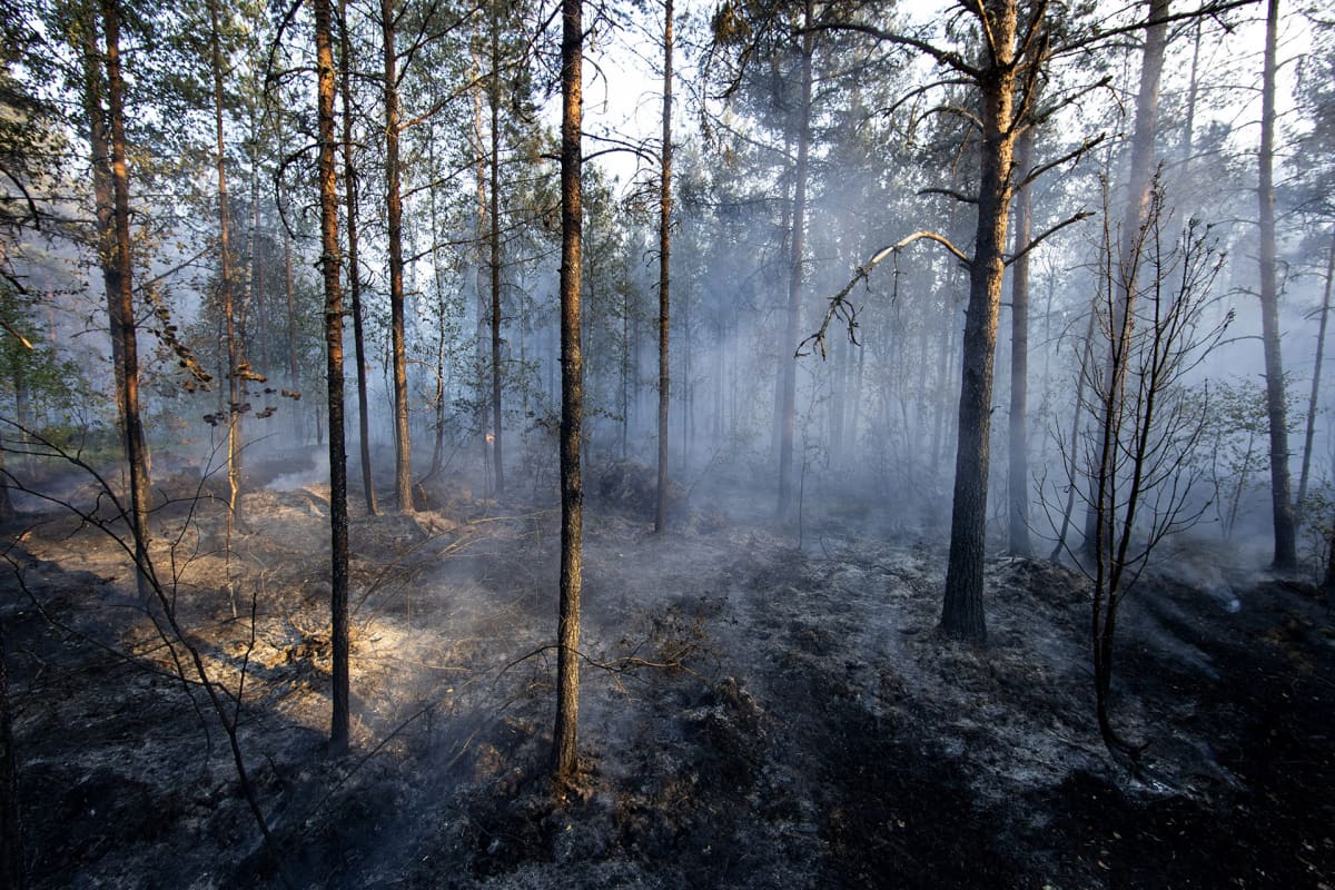 Pyhärannan metsäpalo 18. heinäkuuta 2018.
