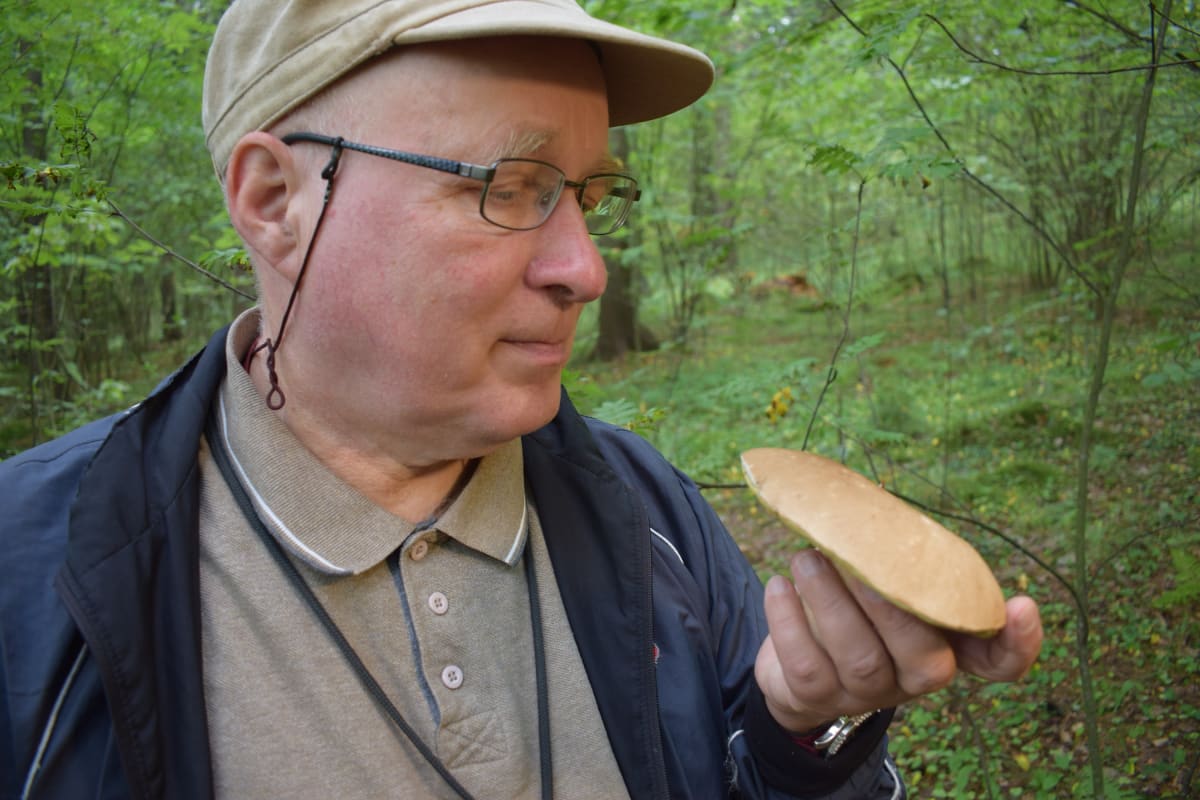 Sienitutkija Jouni Issakainen tutkii tattia.