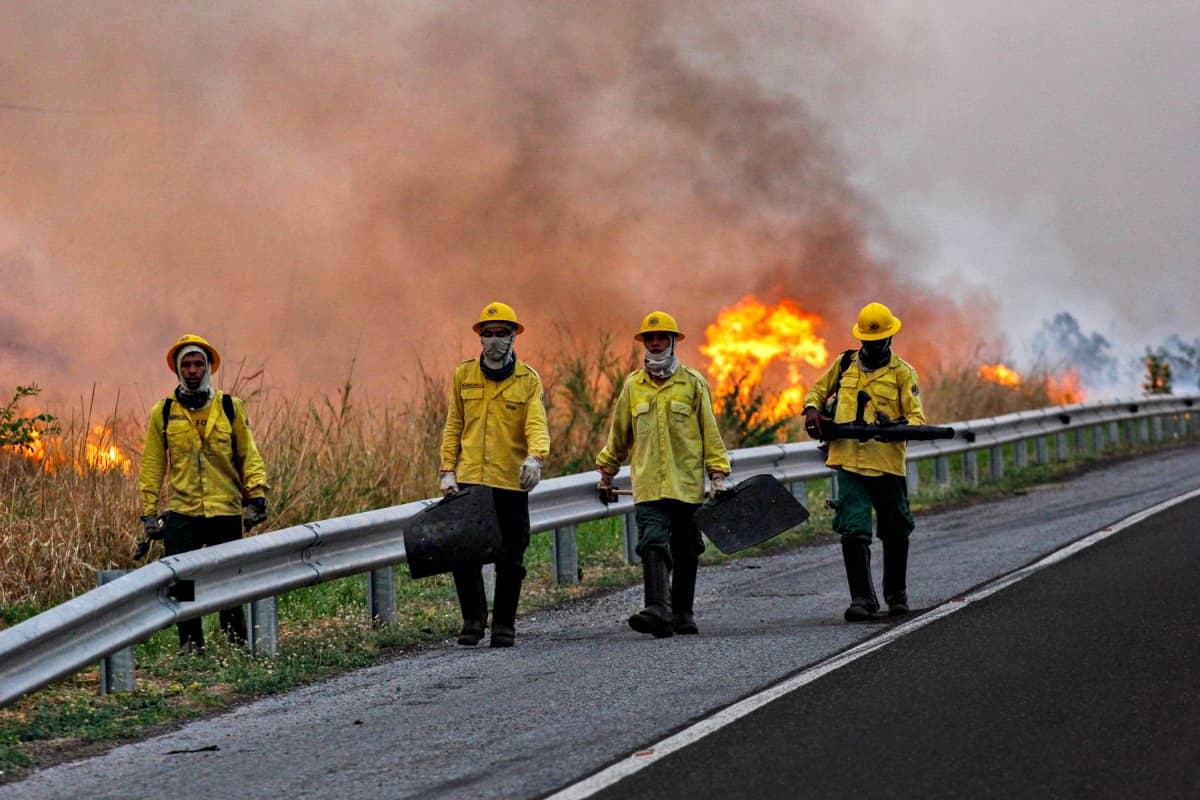 Palomiehet sammuttivat isoa metsäpaloa Pantanalin alueella Brasiliassa 29. lokakuuta 2019.