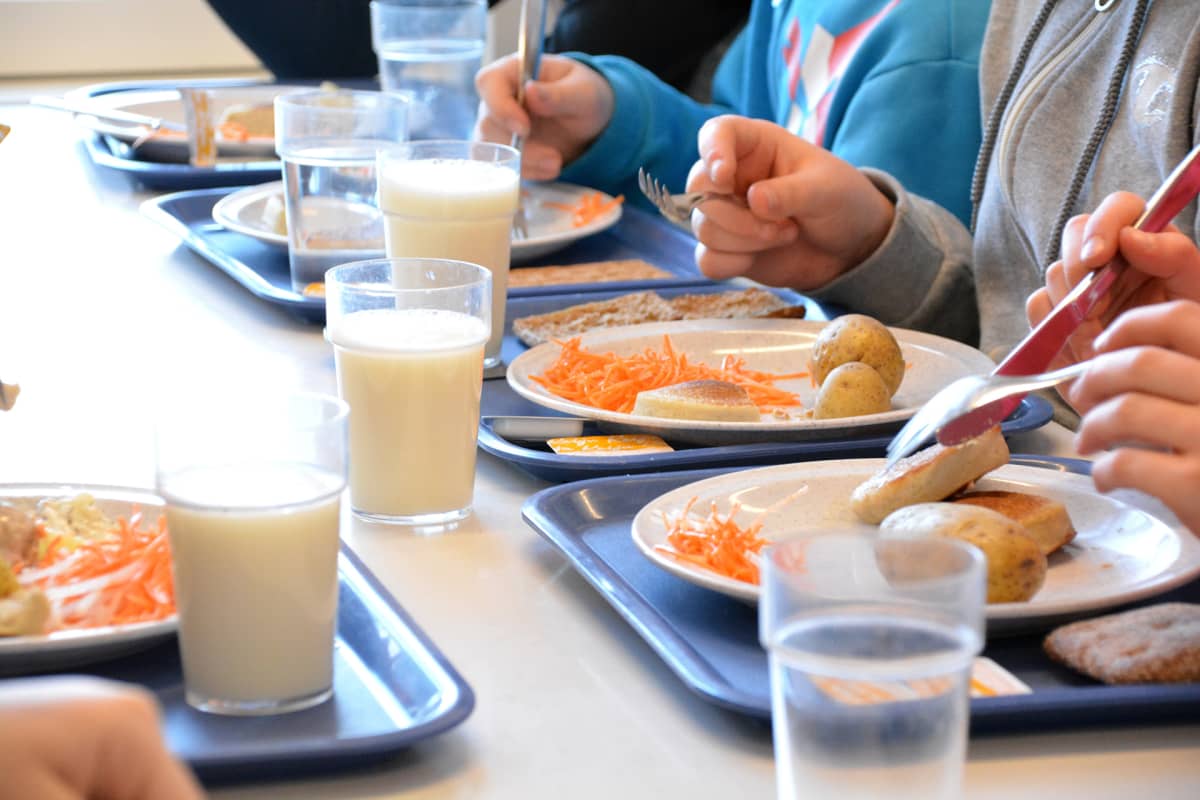 Suuri osa satakuntalaiskoulujen ruuasta on kotimaista – kala usein  ulkomaista | Yle Uutiset