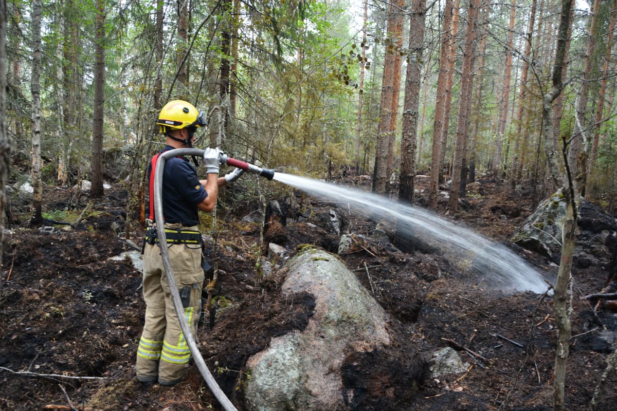 Palomies sammuttaa vesisuihkulla metsää.