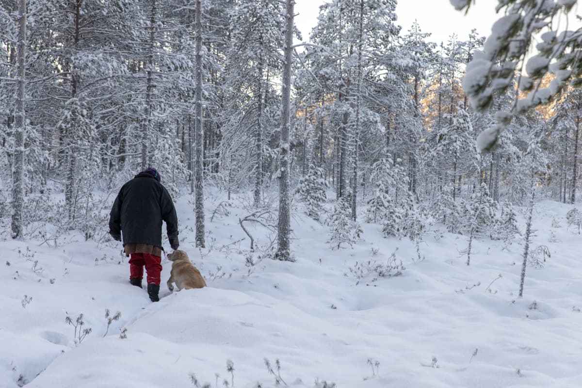 Nainen kulkee lumisella suolla koiran kanssa
