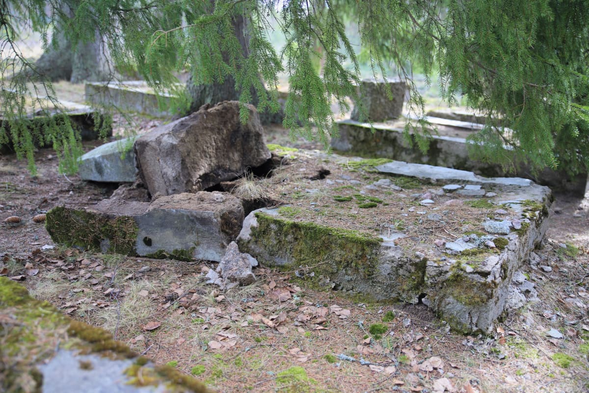 Kaadettu hautakivi juutalaisten hautausmaalla Haminassa.