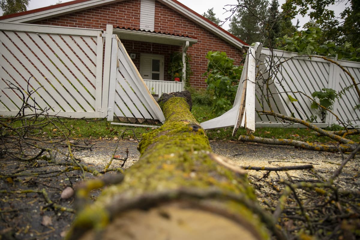 Kaatunut puu on rikkonut aidan