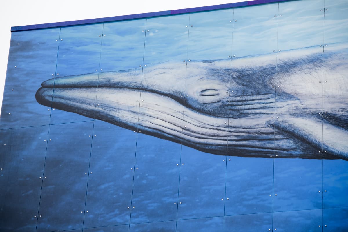Mauri Kososen Big Blue-teoksen valas