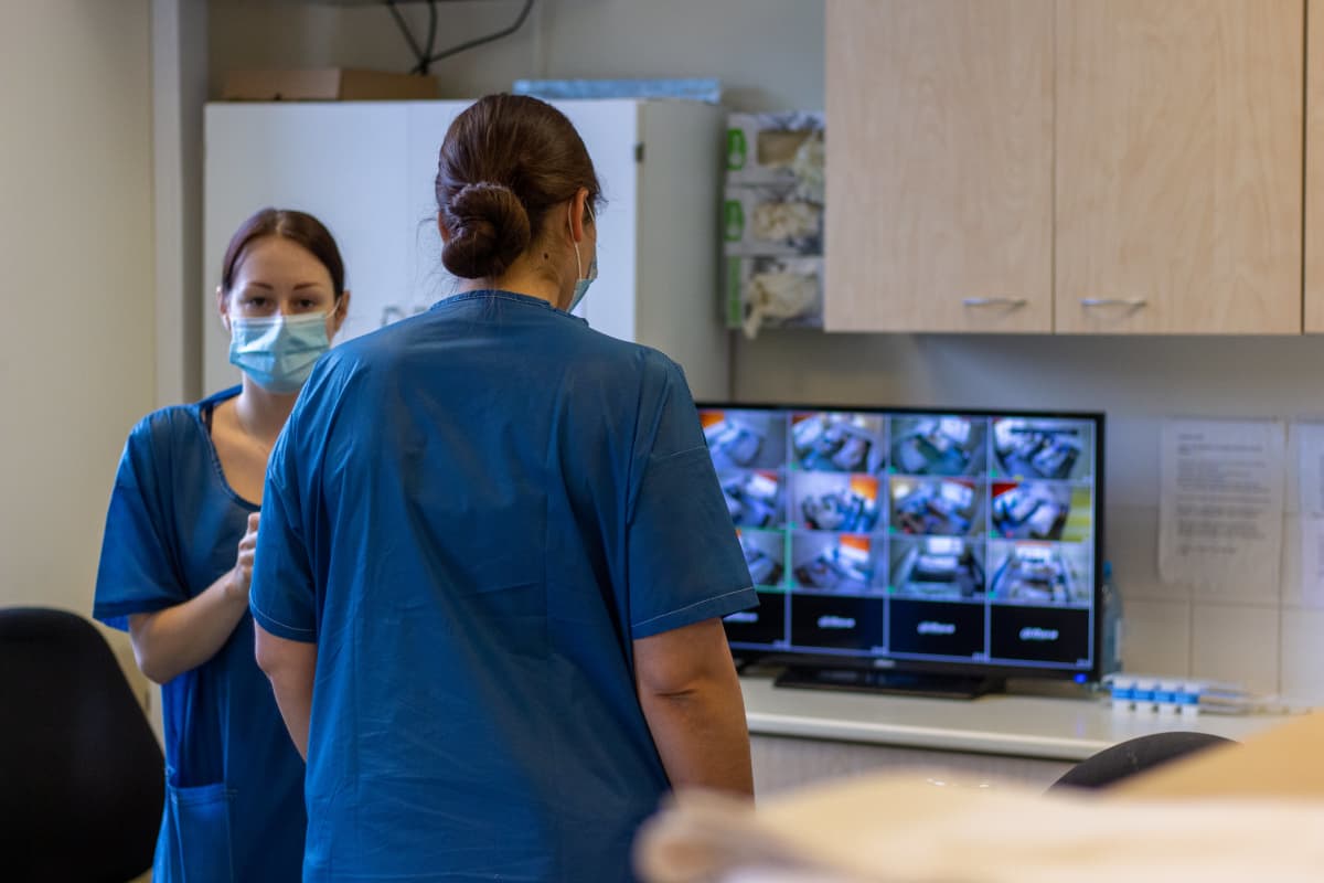 Länsi-Tallinnan keskussairaalan hoitaja tarkkailee koronapotilaita monitoreista.