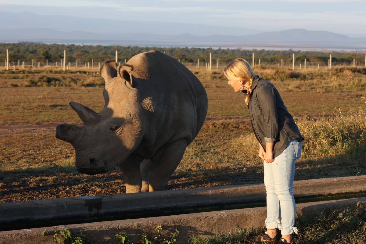 Ylen toimittaja Liselott Lindström tarkasteli sarvikuonoa Ol Pejetan luonnonsuojelualue Keski-Keniassa. 
