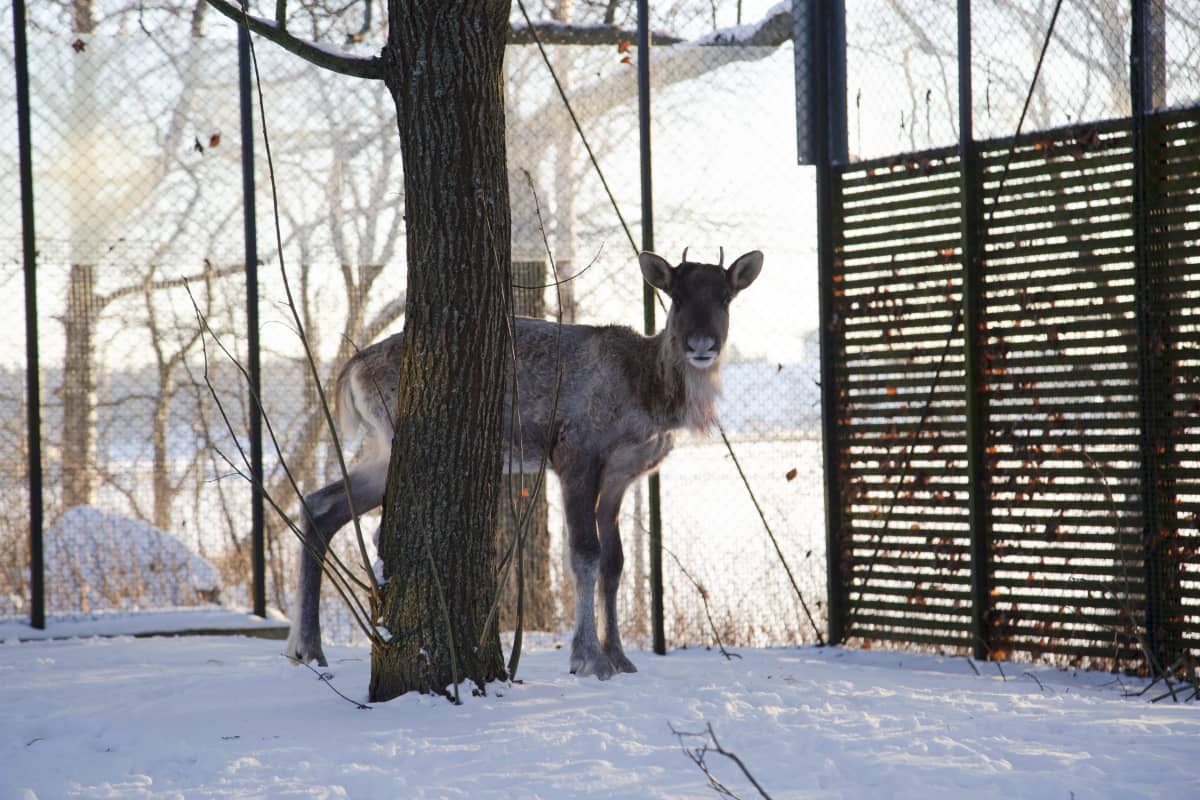 39-90022161dc357609167