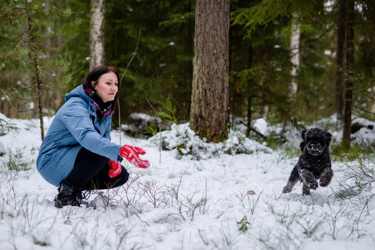 Tiina Raevaara heitää lumipalloa, musta villakoira Igor juoksee pallon perään lumisessa metsässä.