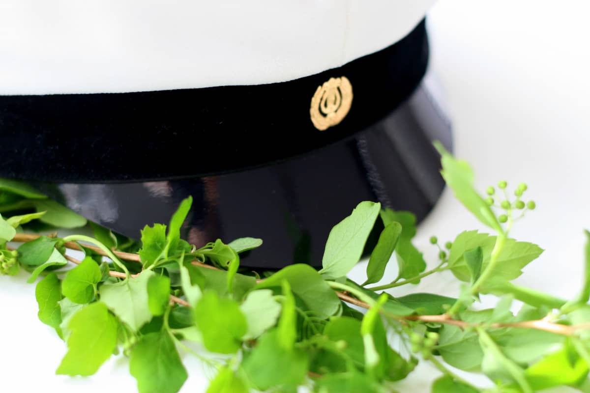 Valokuvassa ylioppilaslakki ja kukkivan kasvin lehdet