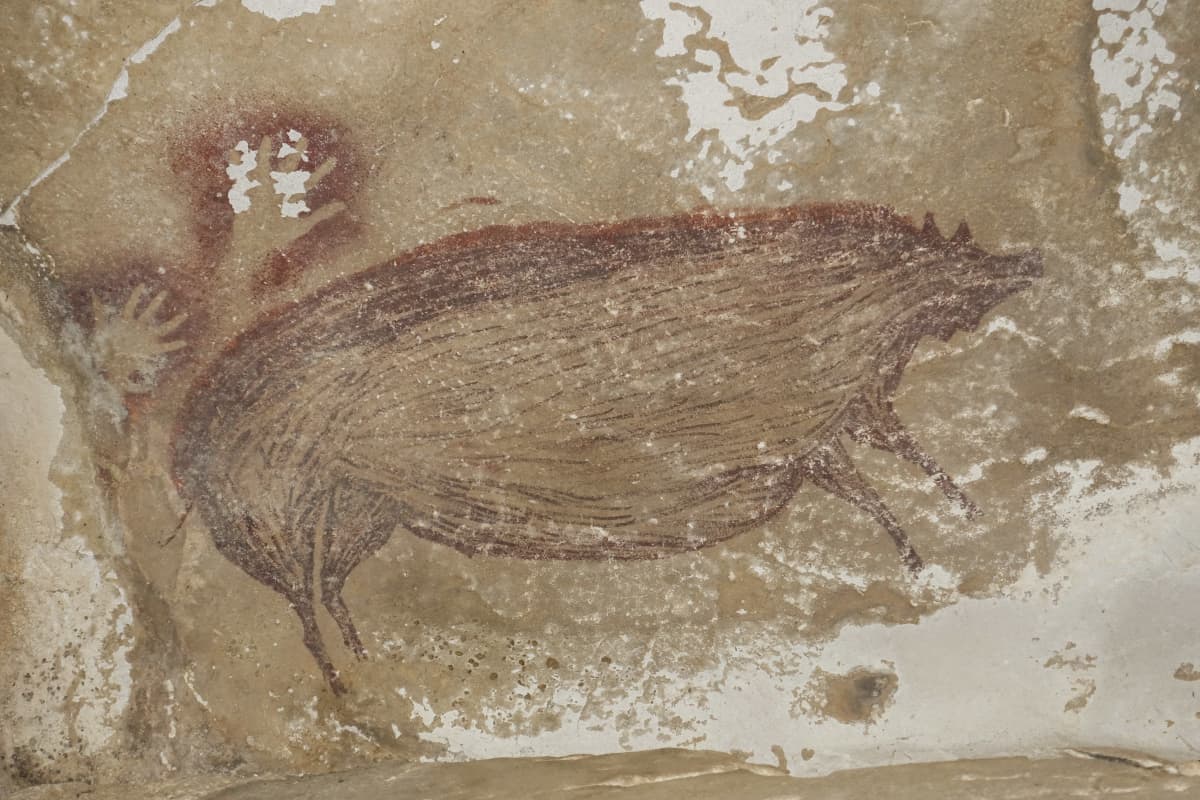 Indonesiasta löytyi mahdollisesti 45 500 vuotta vanha kalliomaalaus siasta.