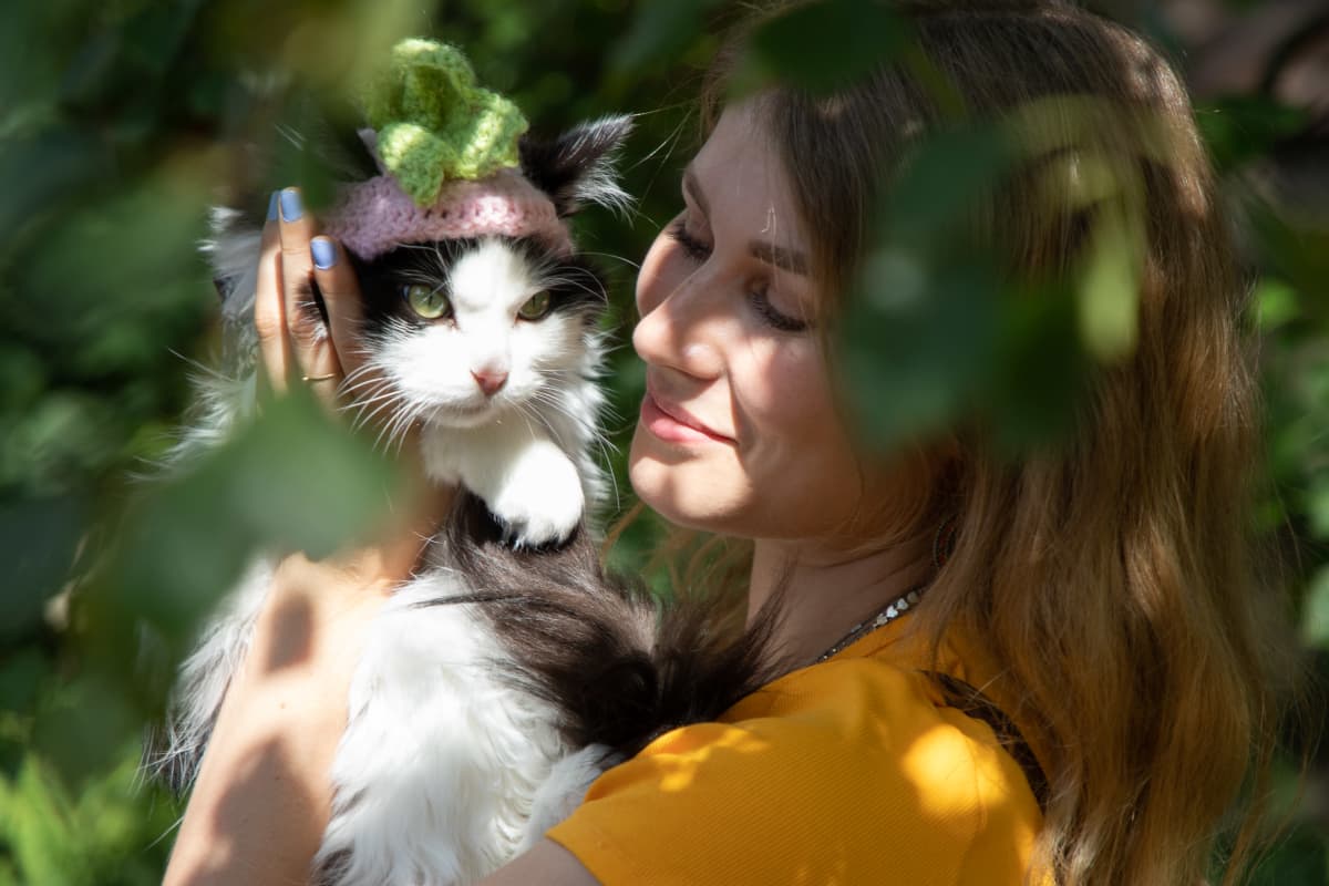 Mauri-kissa syö kurkkua, ja Heli Montonen kuvaa – jo 5 miljoonaa ihmistä on  nähnyt hittivideon Tiktokissa