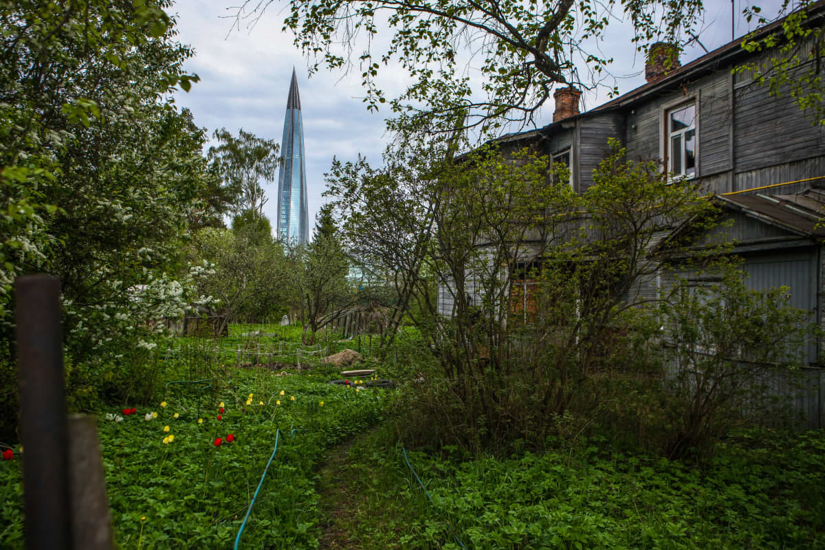 Etualalla vihreä piha ja ränsistyvä talo, taka-alalla Gazpromin torni.