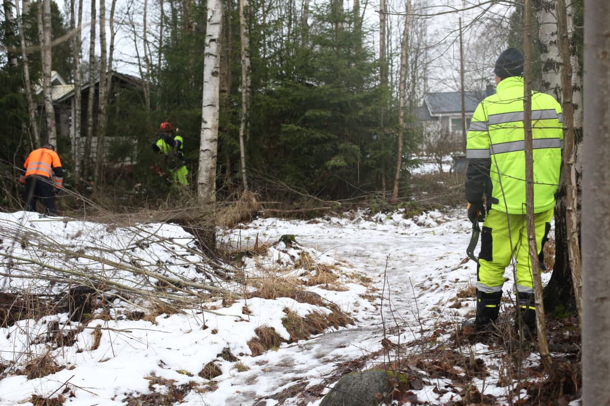 Prisoners from Ojoinen involved in forestry work in the local area.