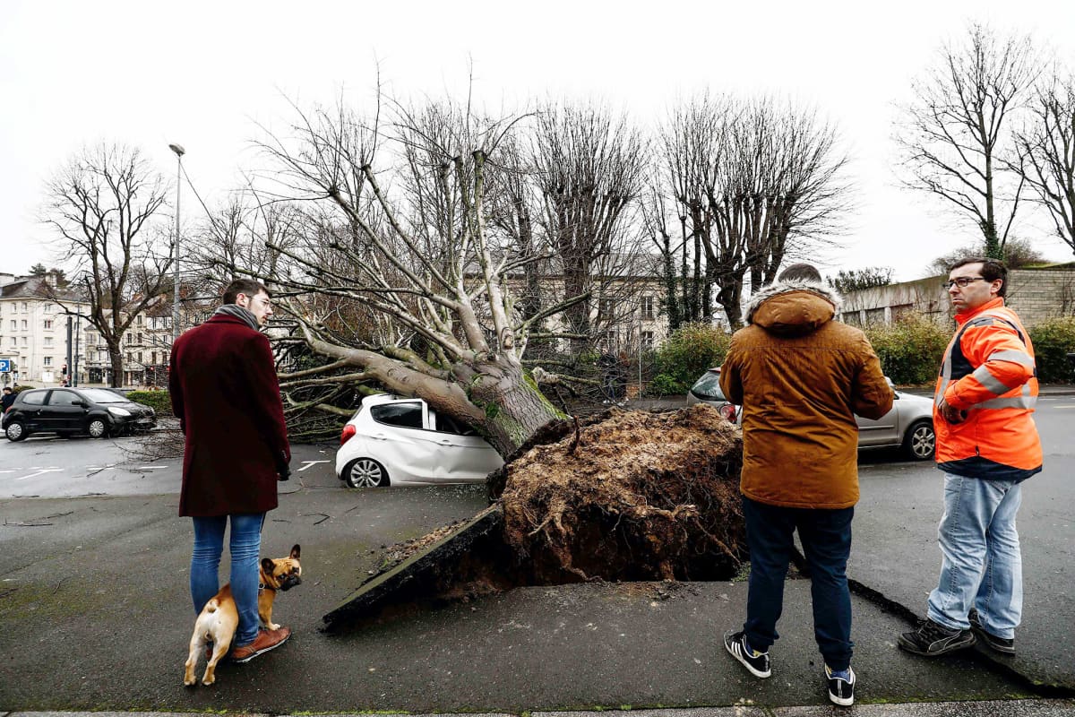 Ihmiset katsovat myrskyn kaatamaa puuta Ranskan Caenissa.