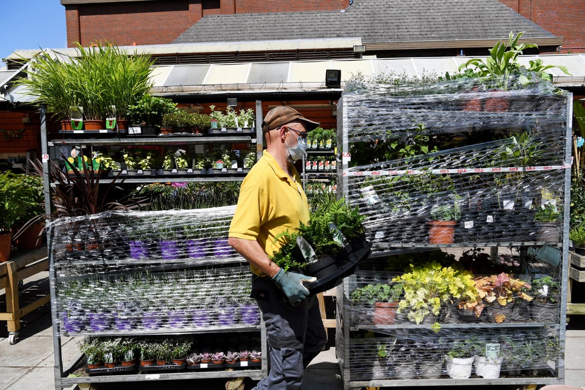Työntekijä kantaa kasveja puutarha-alan kaupassa.