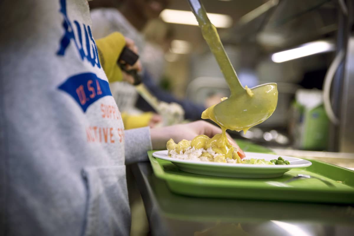 Three children endangered by Palmia school food | News | Yle Uutiset