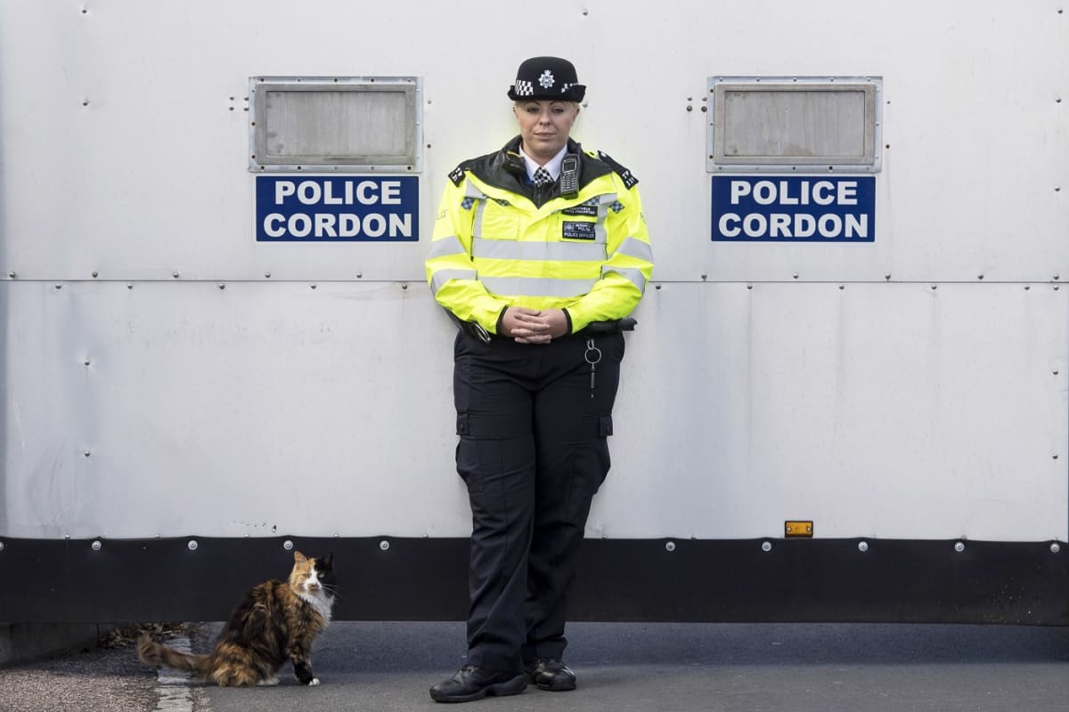 Poliisi seisoo seinän vieressä, kissa istuu maassa. 