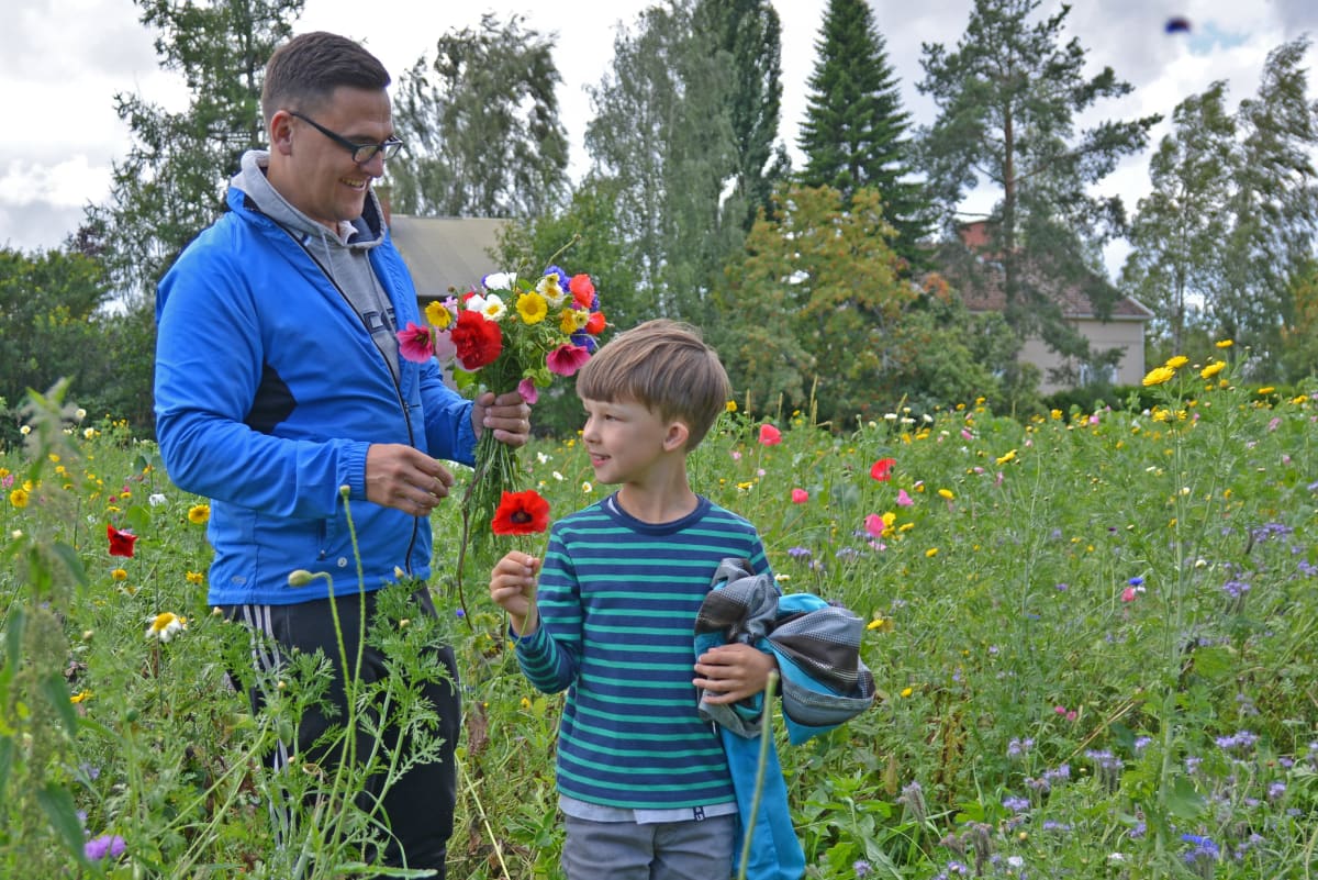 Timo ja Emil Viitala keräävät kukkia