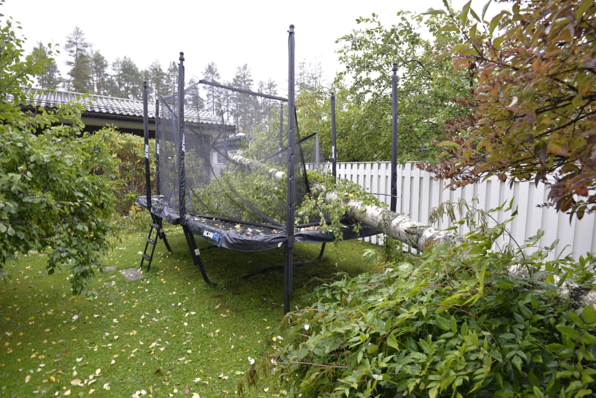 Puu kaatunut omakotitalon pihassa