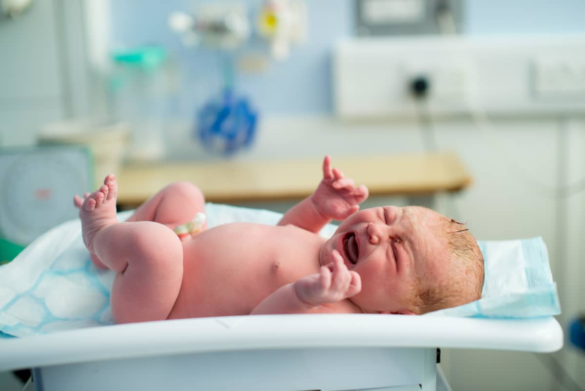 En nyfödd bebis vägs på sjukhuset. Bebisen skriker.