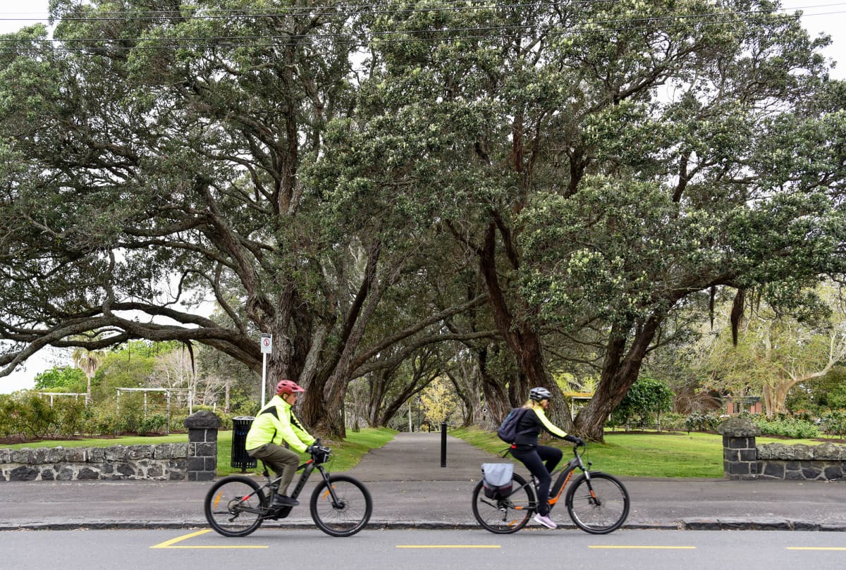 Kaksi pyörlijää puiston edustalla  Aucklandissa.