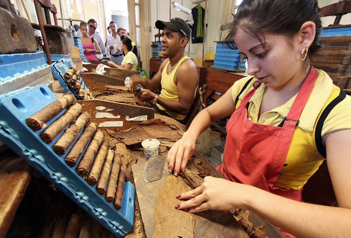 Kuubalaiset sikaarit ovat arvostettuja.