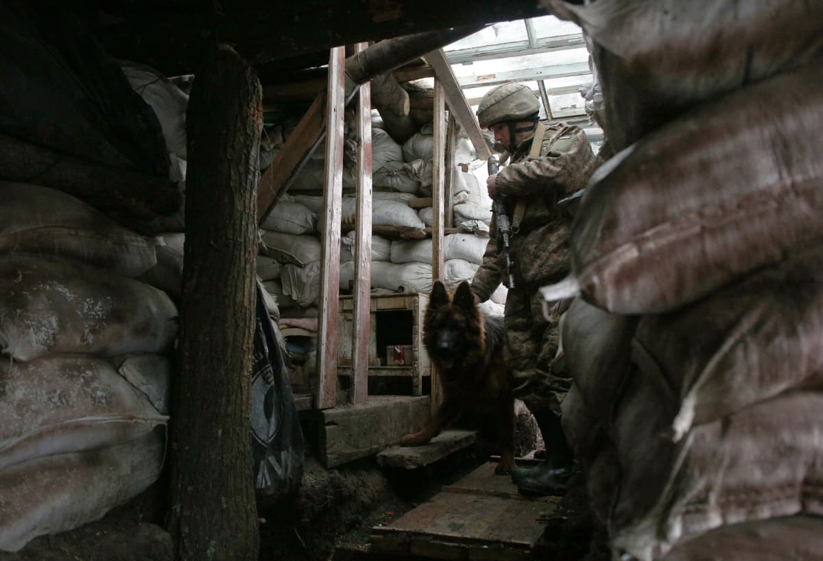 Sotilas koiransa kanssa.   ( An Ukrainian Military Forces serviceman and his dog enter a dugout on the frontline with the Russia-backed separatists near Zolote village, in the eastern Lugansk region, on January 21, 2022. )