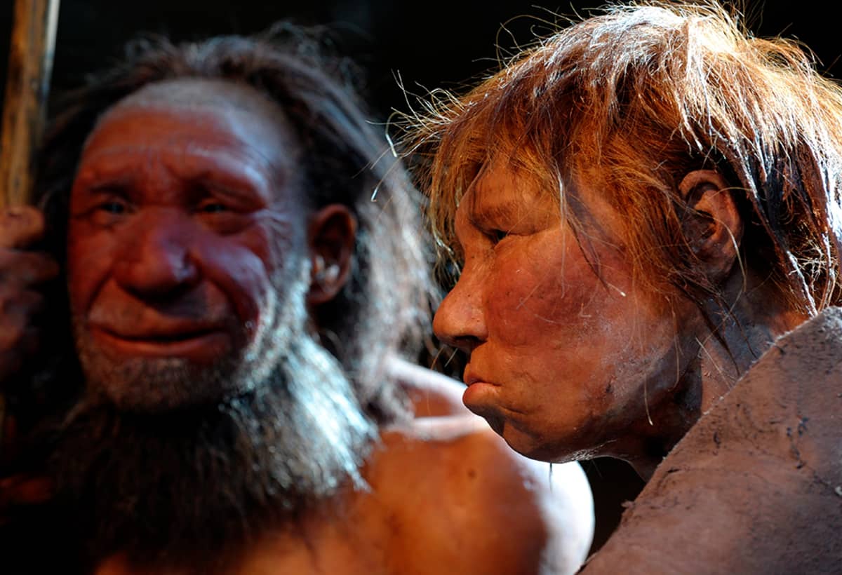 Rekonstruktio neanderthalilaisesta miehestä ja naisesta saksalaisessa museossa.