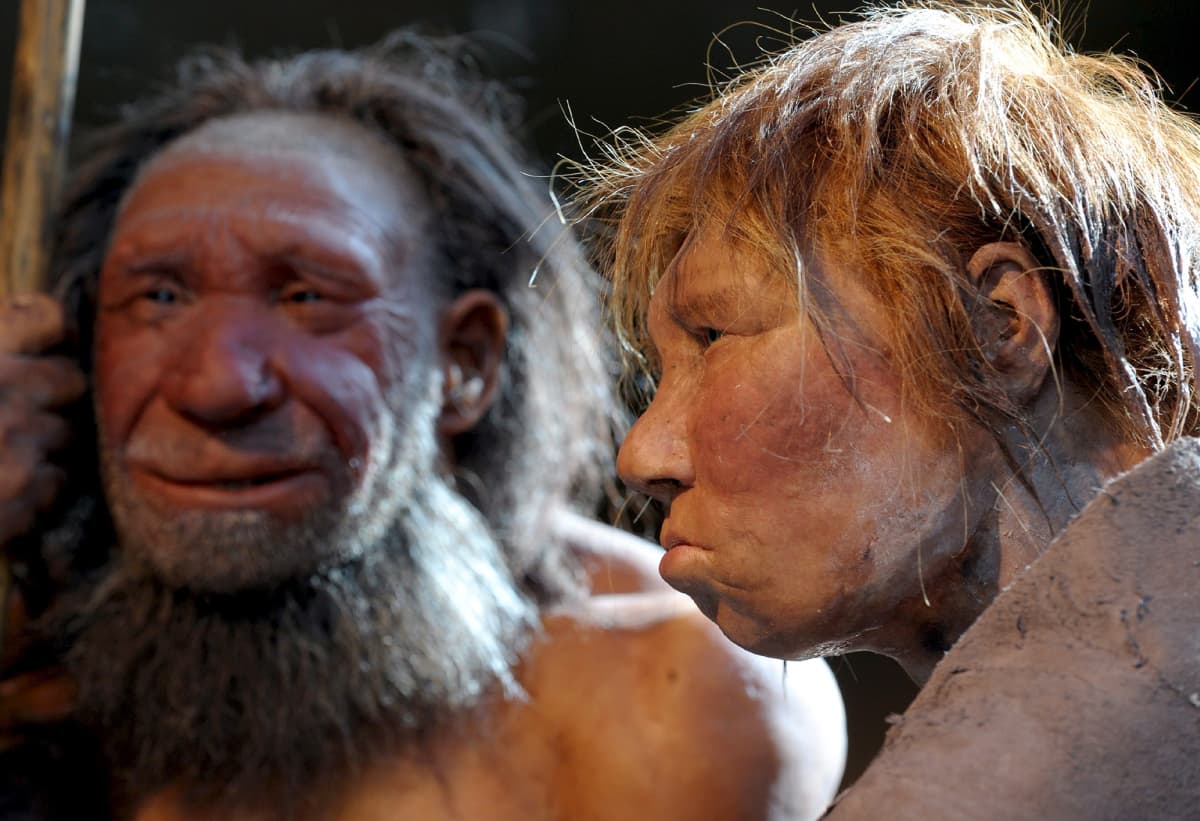 Neandertalinihmisen malleja.