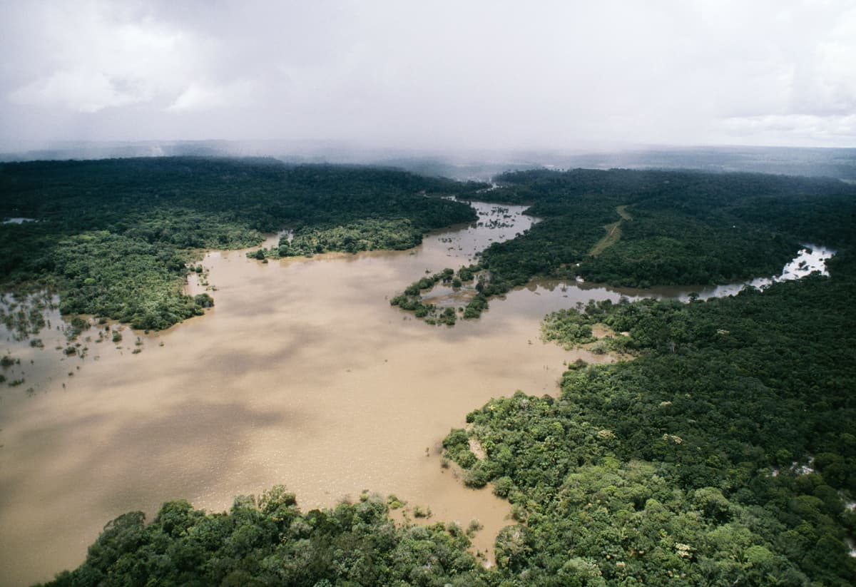 amazonin joki brasiliassa